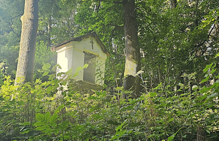 Branná po okruhu Pasák a Mariánská pouť