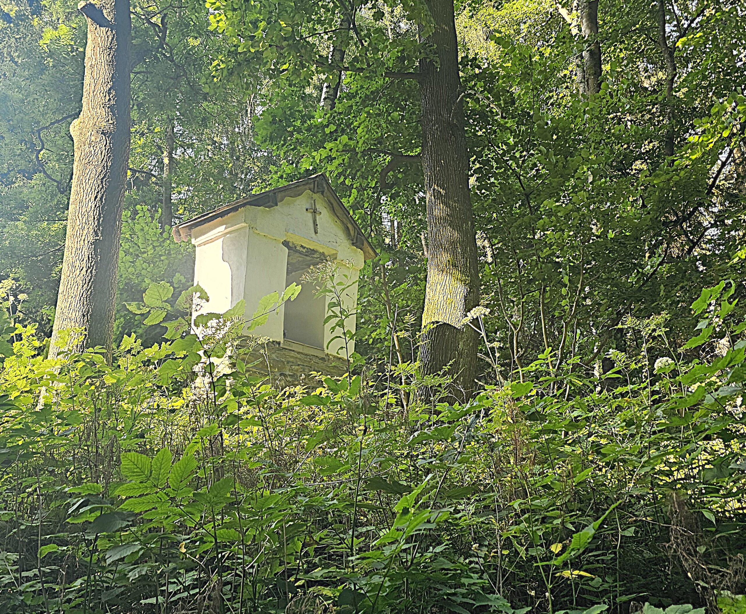 Branná po okruhu Pasák a Mariánská pouť