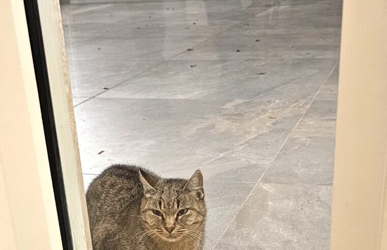 APULIE (1) aneb jak jsme topili pánu Bohu do oken